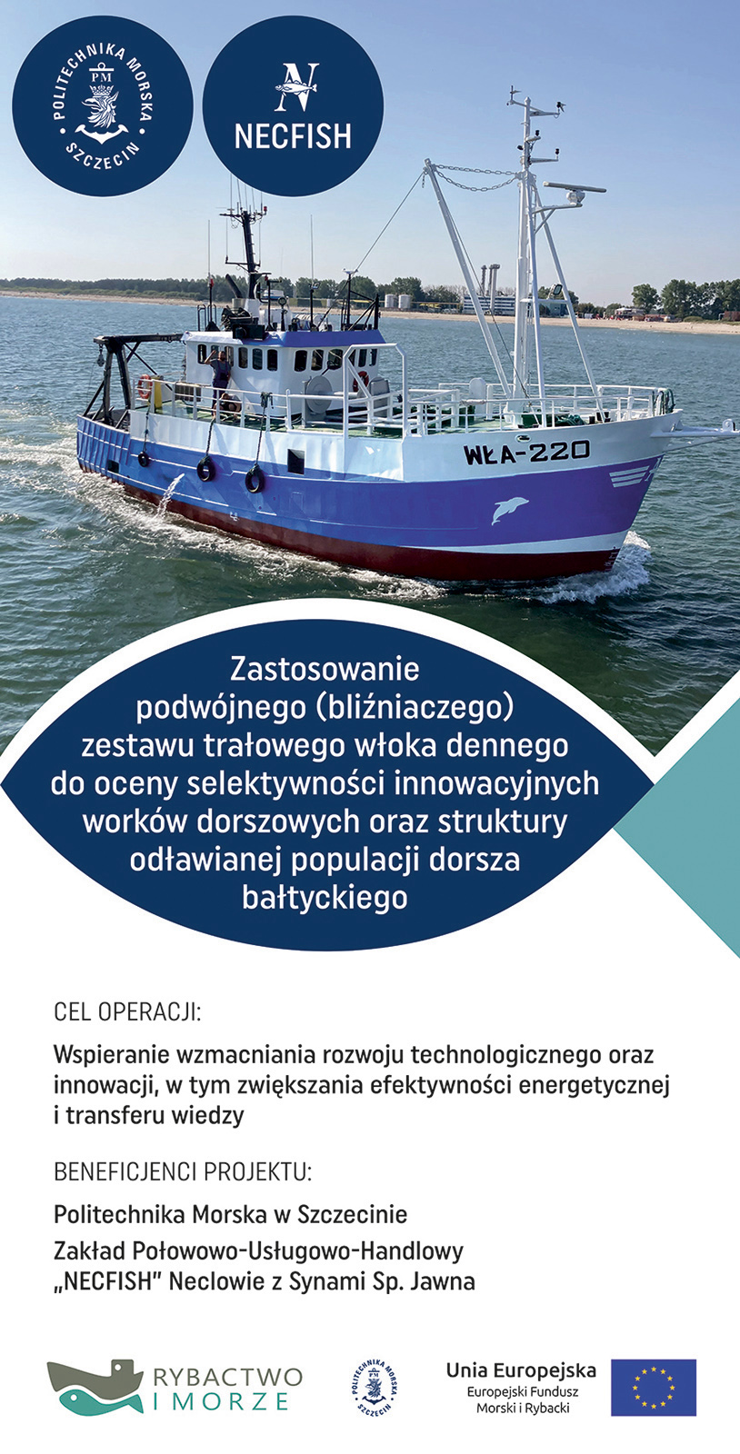 Projekt Dorsze III, rollup,2 023-, grafika